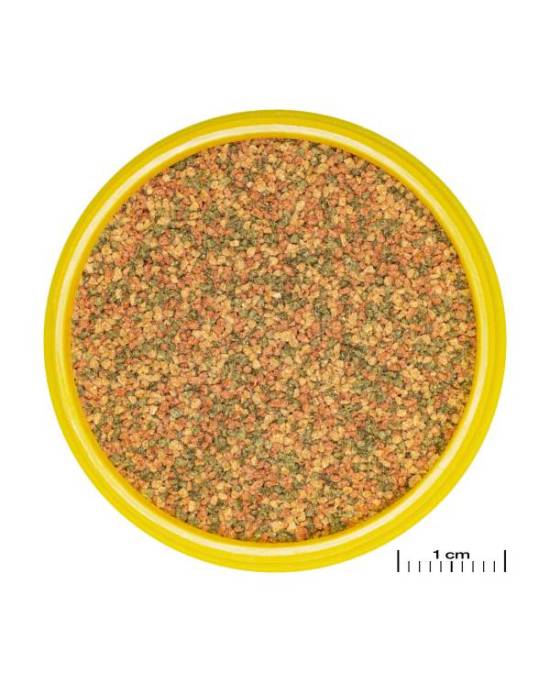 JBL - ProNovo Bel Grano XS Lot 4 x 100 ml