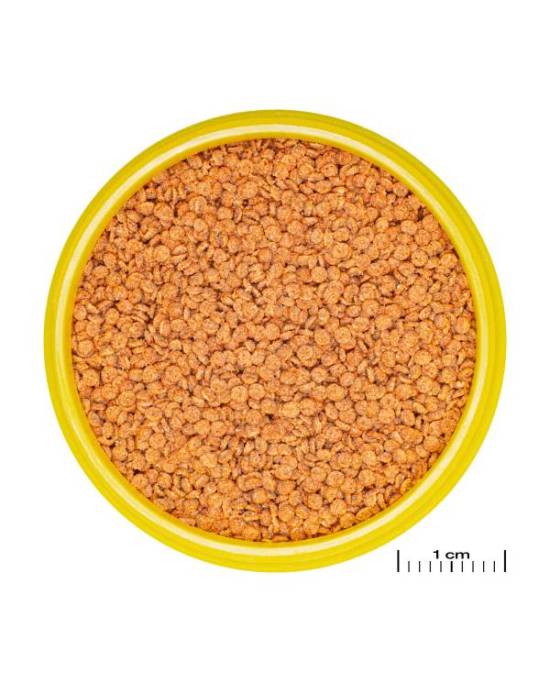 JBL - ProNovo Betta Grano S Lot 4 x 100 ml
