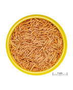JBL - ProNovo Betta Insect Stick S Lot 4 x 100 ml
