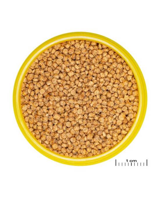 JBL - Pronovo Cichlid Grano S Lot 4 x 100 ml