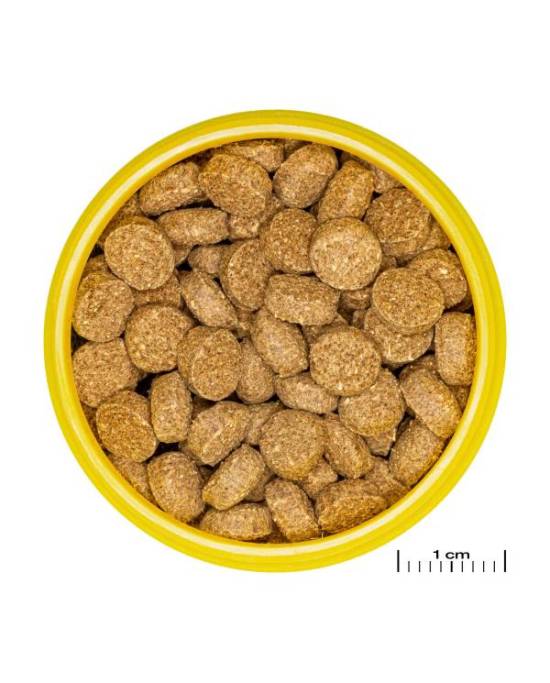 JBL - ProNovo Crabs Wafer M 3 x 250 ml