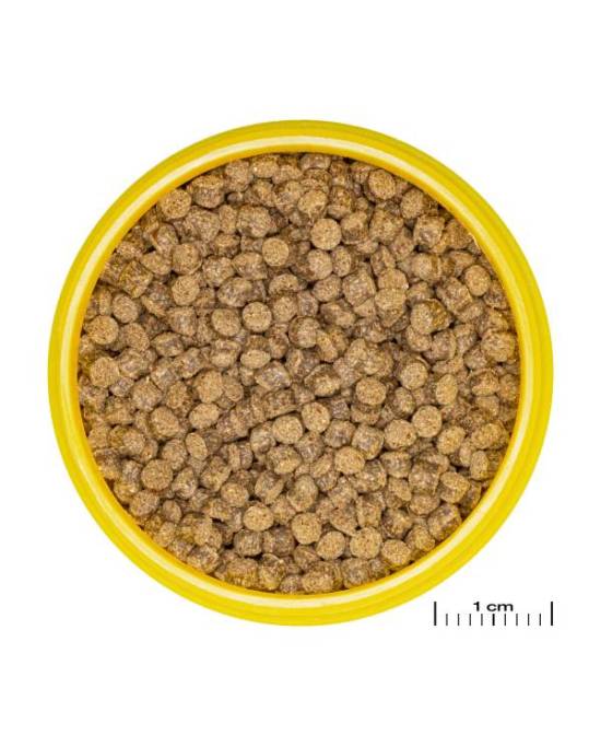 JBL - ProNovo Fantail Grano M  1 L ou 2x 250ml
