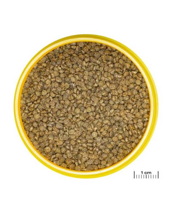 JBL - ProNovo Gourami Grano S 2 x 250ml