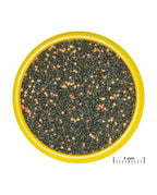 JBL - ProNovo Guppy Grano S Lot 4 x 100 ml