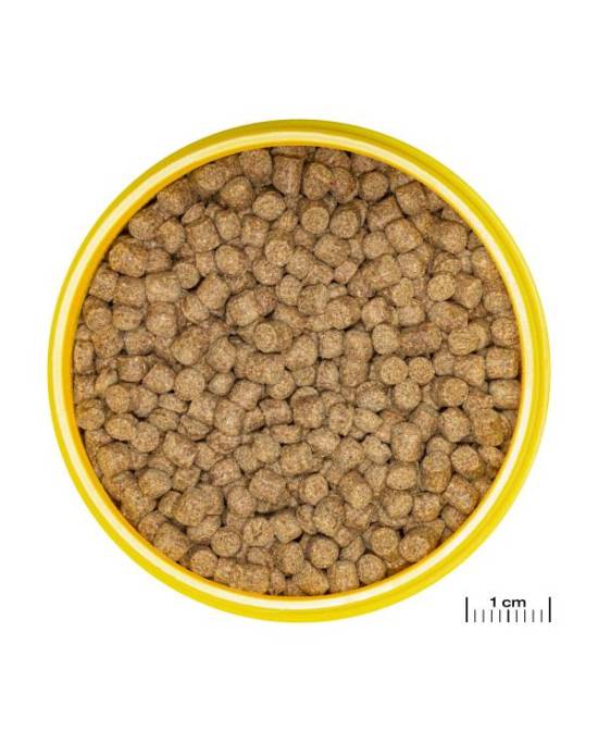 JBL - ProNovo Lotl Grano M - 3 x 250mL