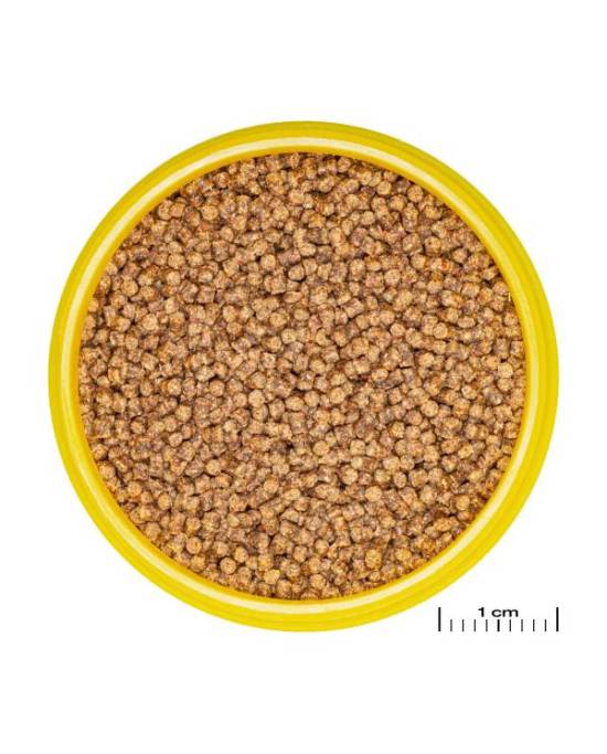 JBL - ProNovo Lotl Grano S - Lot 4 x 100 ml