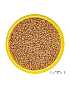 JBL - ProNovo Lotl Grano S - Lot 4 x 100 ml