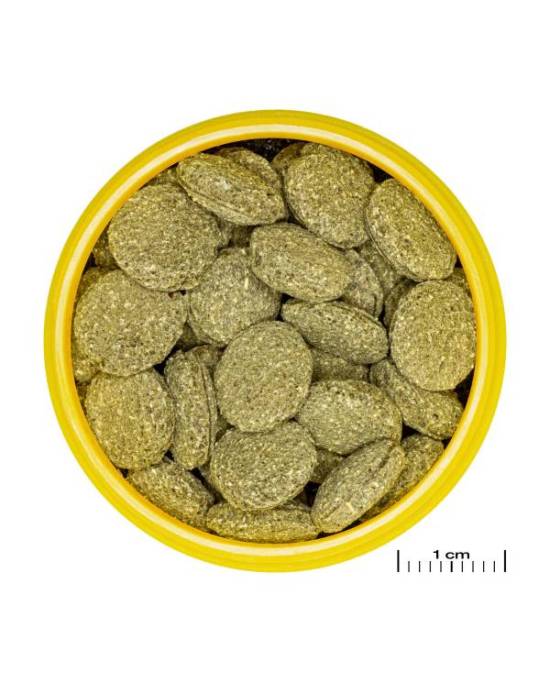 JBL - ProNovo Pleco Wafer M 1 L ou 2 x 250 ml