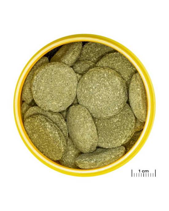 JBL - ProNovo Pleco Wafer XL - 5,5L