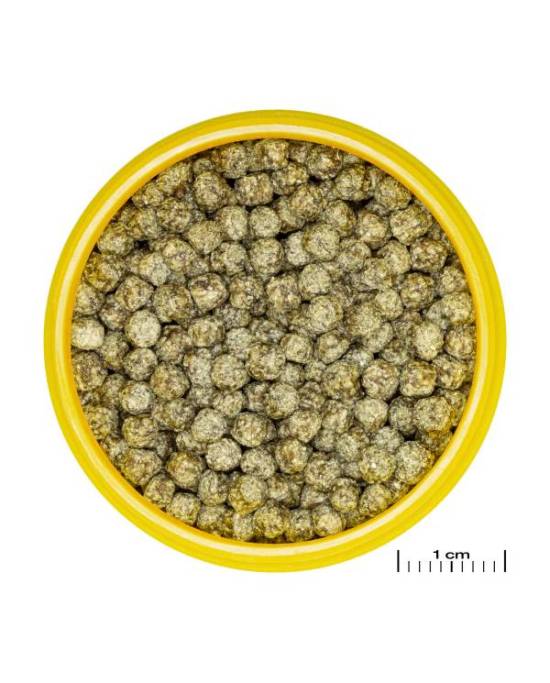 JBL - ProNovo Red Grano M Lot 4 x 100 ml
