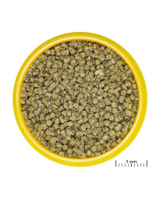 JBL - ProNovo Shrimps Grano S 3 x 250 ml