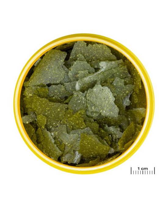 JBL - ProNovo Spirulina Flakes M - 5,5L