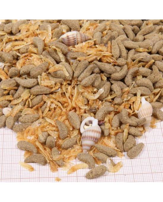 JBL - Proterra Molluscus Lot 3x250 ml ou 1x1 L