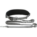 Ceinture avec laisse chiens moyenne et grande taille