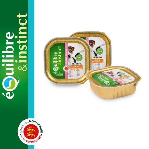 Lot 15 terrines pour chiot, Volaille