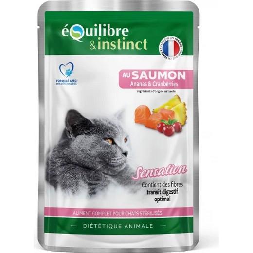 Effilés sauce saumon, ananas et cranberreries 20 x 85g
