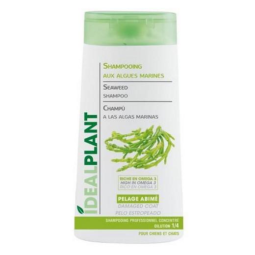 Shampooing IdéalPlant 250 ml