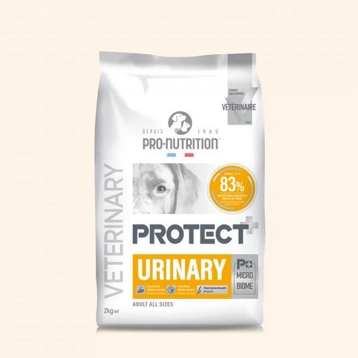 Protect URINARY - Pro Nutrition 2 ou 12 kg
