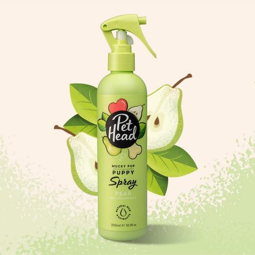 Shampooing sans rinçage Spray Furtastic