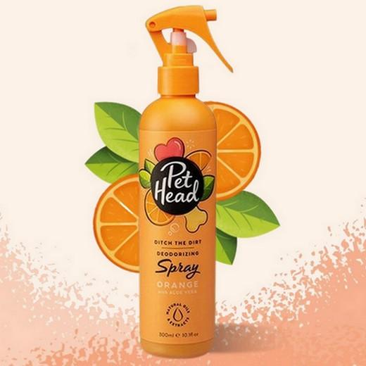 Shampooing sans rinçage Spray Furtastic