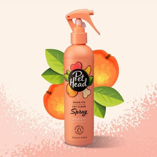 Shampooing sans rinçage Spray Furtastic