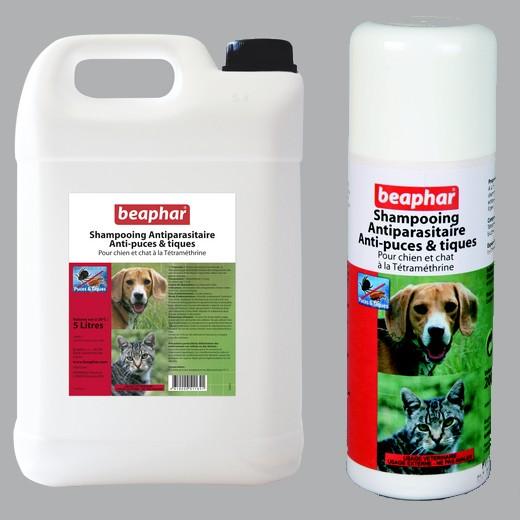 Shampoing antiparasitaire à la Tetramethrine