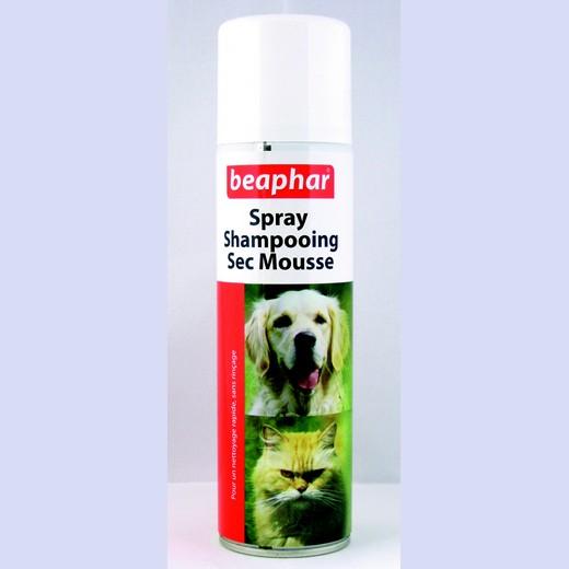 Shampooing sec mousse chiens chats