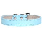 Collier en cuir couleur uni pour chien