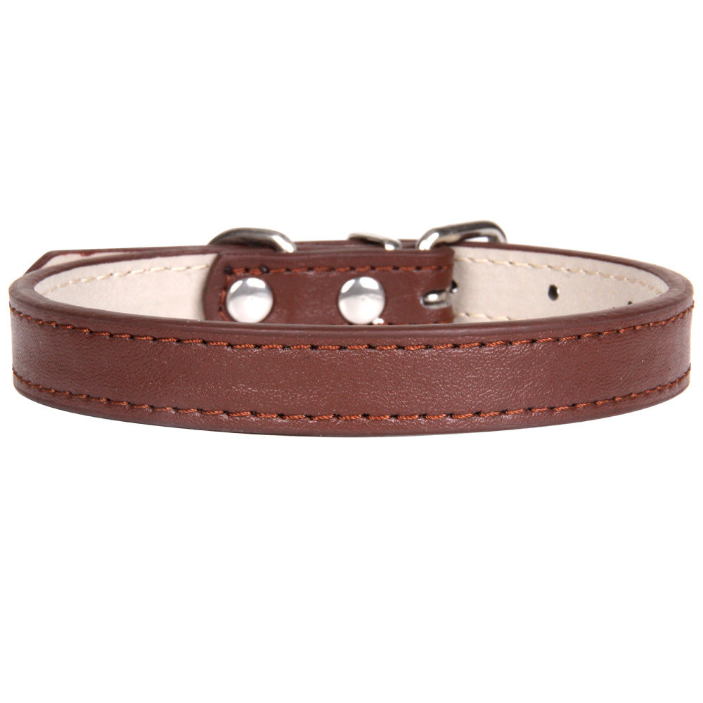Collier en cuir couleur uni pour chien