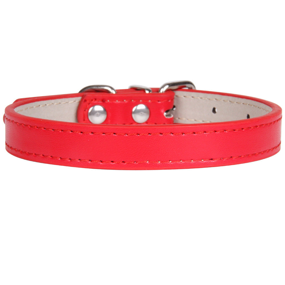 Collier en cuir couleur uni pour chien