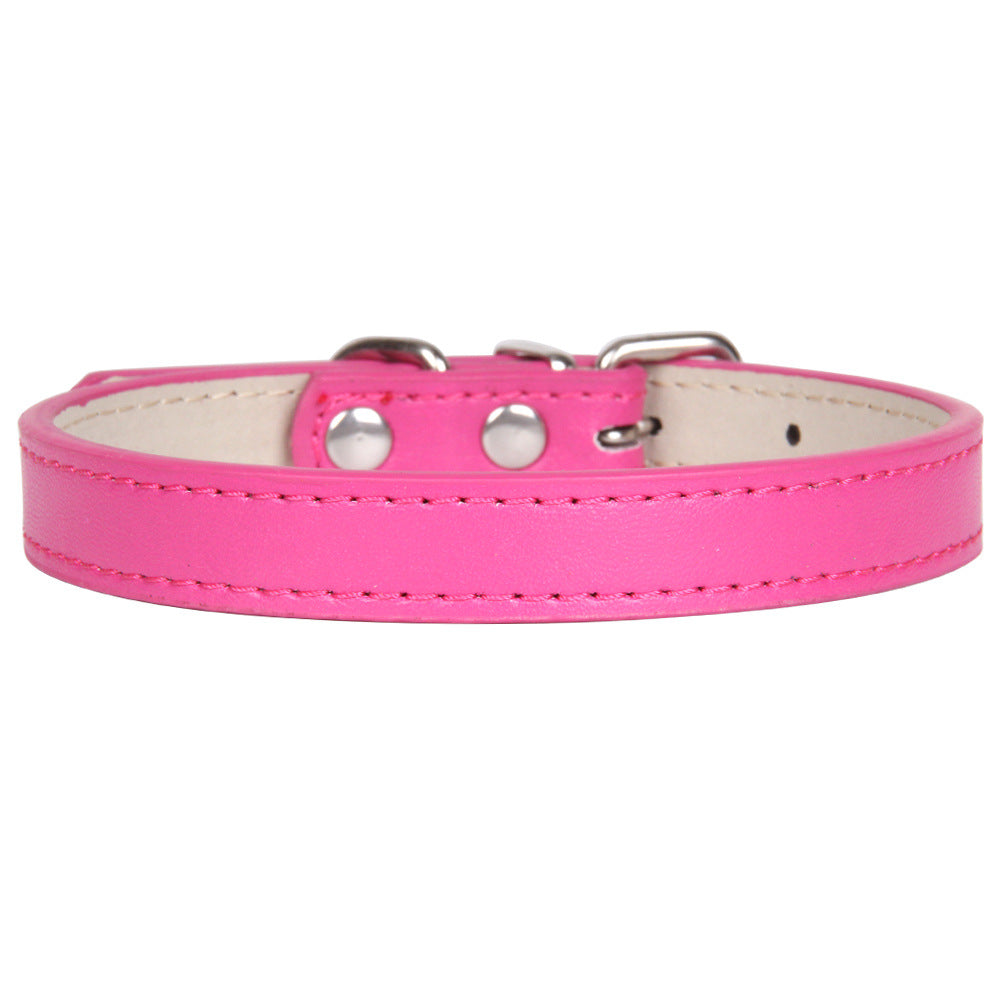 Collier en cuir couleur uni pour chien