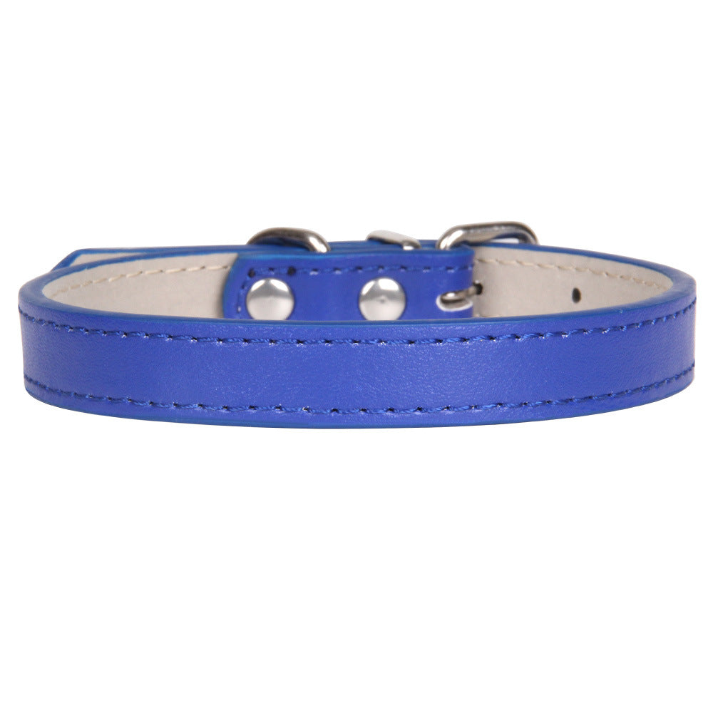 Collier en cuir couleur uni pour chien