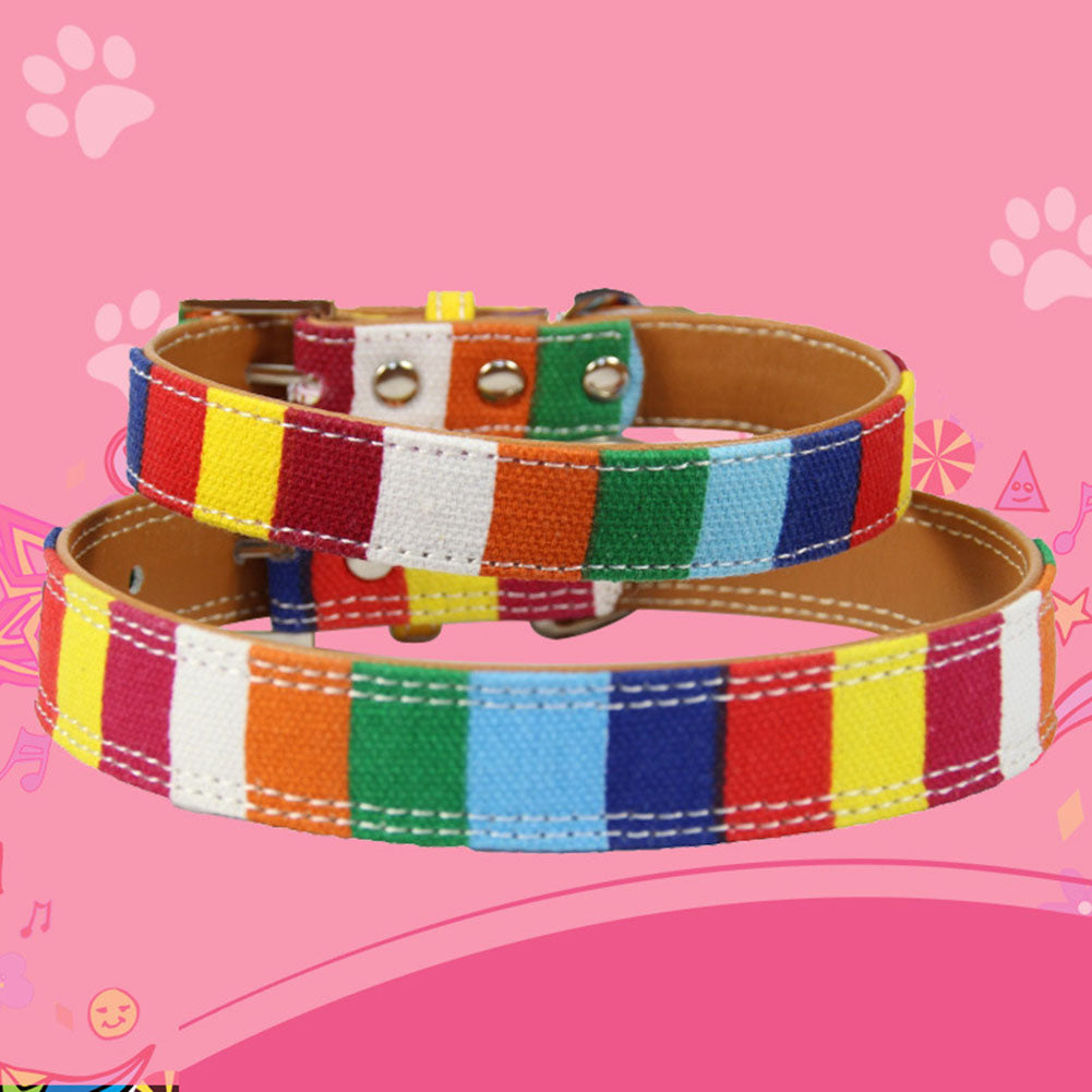 collier pour chien, cuir et tissu