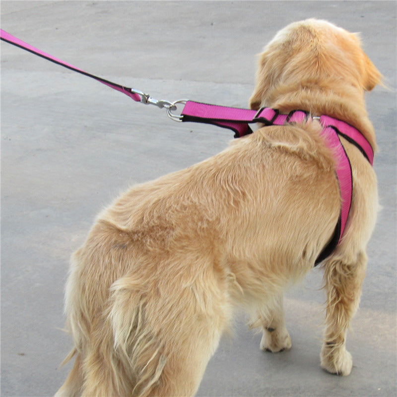 Set Laisse collier harnais pour chien
