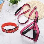 Set Laisse collier harnais pour chien