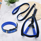 Set Laisse collier harnais pour chien