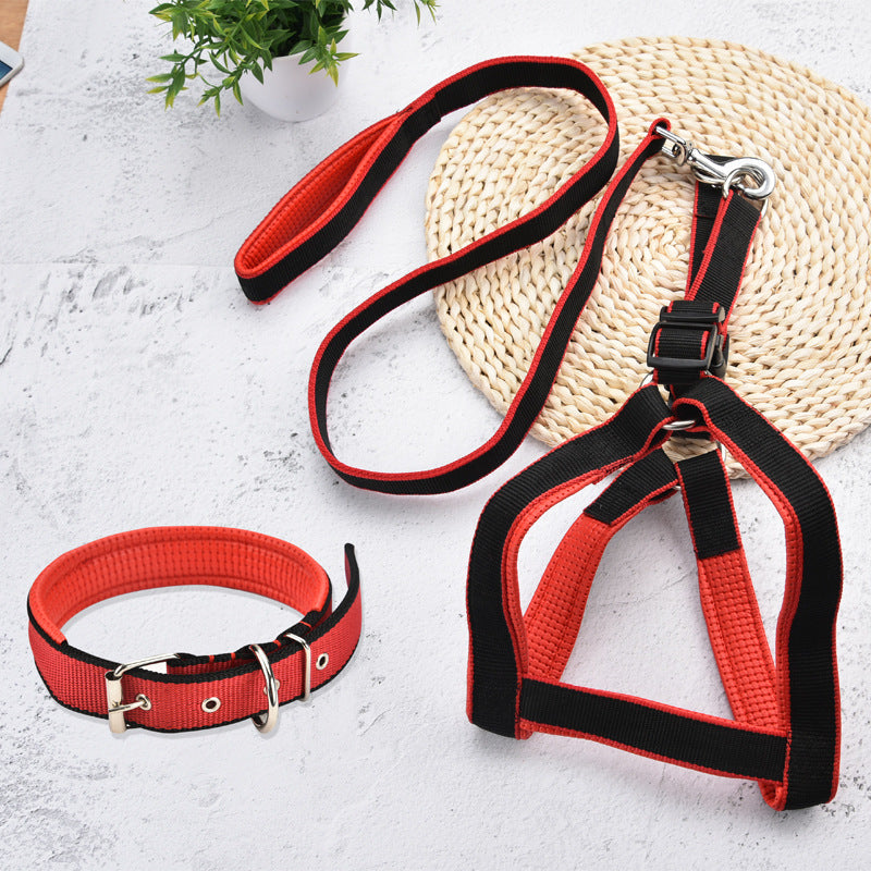 Set Laisse collier harnais pour chien