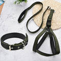 Set Laisse collier harnais pour chien