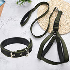 Set Laisse collier harnais pour chien