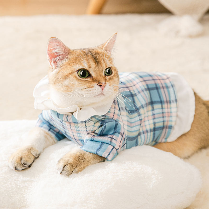 Chemise à carreaux bleus