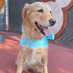 K-Way imperméable pour chien