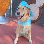 K-Way imperméable pour chien