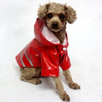 Manteau imperméable pour chien