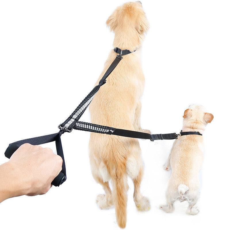 Laisse pour 2 chiens, nylon réfléchissant