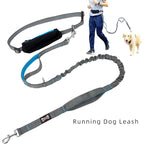 Laisse pour chien, mains libres
