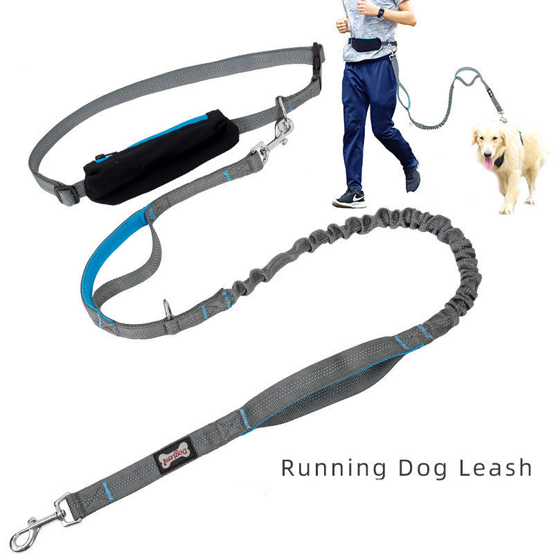Laisse pour chien, mains libres
