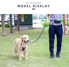 Laisse pour chien, mains libres