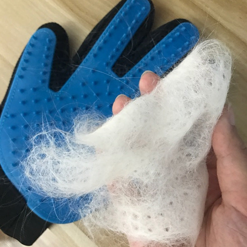 Gant de toilettage pour chien