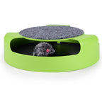 Disque de jeu pour chat