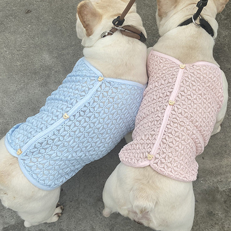gilet en laine pour chien